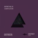 Buitrago, IDR3N - Insert (Original Mix)