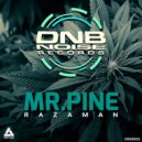 Mr.Pine - Razaman