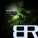 Sincronism - Gloomy Soul (Devid Dega Remix)