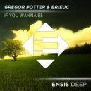 Gregor Potter & Brieuc - If You Wanna Be