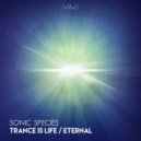 Sonic Species - Eternal