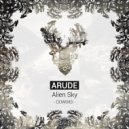 Arude - Fragments
