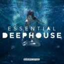 Diversion - Perfect Pleasure (Original Mix)