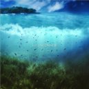 Vaeros - île Inconnue