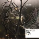 Stillhead - Spiders