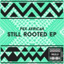 Pex Africah Feat. Moneoa - Molo (2016 Remix)