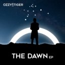 Ozzy Lee Tiger - Changes (Original Mix)