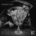Gabriel Ananda, Reinier Zonneveld - Got Me