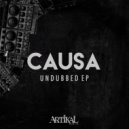 Causa - Stages