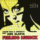 Anane & Arnaud D Feat. Ade Alafia - Feeling Musick (Original Instrumental)