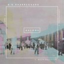 B.G. Baarregaard - Kulturhuset