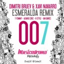 Dimitri Bruev & Xavi Navarro - Esmeralda (Ian Davies Remix)