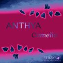 Anthya - Camelia