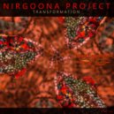 Nirgoona Project - Psychedelic Experience