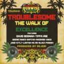 Troublesome featuring 2Nice - Journey Long (Original Mix)