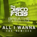 Disco Fries, Breathe Carolina - All I Wanna