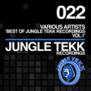 Voltaxx & Mike Kelly - Hydraulic Wonk (Original Mix)
