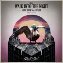 Alex Hook feat. Shyam P - Walk Into The Night
