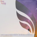 Danny Stubbs & Hannah Magenta - We Are Built Of Star Stuff (Andromedha Remix)