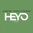 James Silk - Awake (Original Mix)