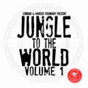 Singing Bird, Marcus Visionary - War (Original Mix)