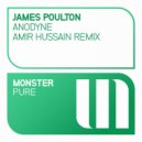 James Poulton - Anodyne