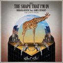 Nemanja Kostic feat James Stewart - The Shape That I'm In