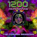 1200 Micrograms - Are You Ready