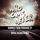 Who Came After - Majestic (Original Mix)
