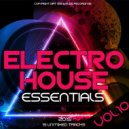 Vikas J & Ribin Richard - India (Original Mix)
