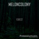 Meloncolony - Forest