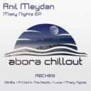 Anil Meydan - Misty Nights