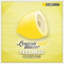 Overfunk - Bomber (Original Mix)