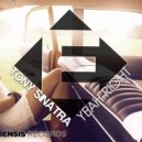Tony Sinatra - Yeah Right (Original Mix)