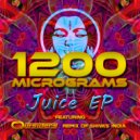 1200 Micrograms - Shiva's India