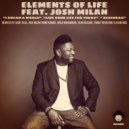 Elements of Life Feat. Josh Milan - Live Your Life For Today