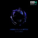 James Black Pitch - The Crowd