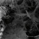 HNQO - Origins