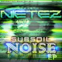 Nietez - Subsoil