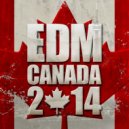 Tritonal feat. Skyler Stonestreet - Electric Glow (Original Mix)