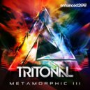 Tritonal vs. Mr FijiWiji - Seraphic (Original Mix)