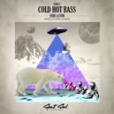 Sebb Aston - Cold Hot Bass