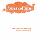 Art Alfie, Mr. Tophat - Ressle\'s Room (Original Mix)