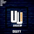 Awaken B - Okayy