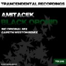 Amitacek - Black Orchid (Gareth Weston Remix)