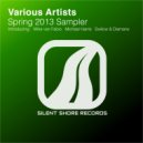 Swilow & Diamans - Random (Original Mix)
