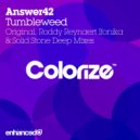 Answer42 - Tumbleweed (Roddy Reynaert Ifonika Remix)