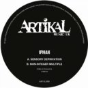 Ipman - Non-Integer Multiple (Original Mix)