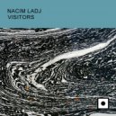 Nacim Ladj - Visitors
