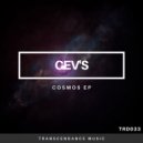 CEV's - Equation Unsolved